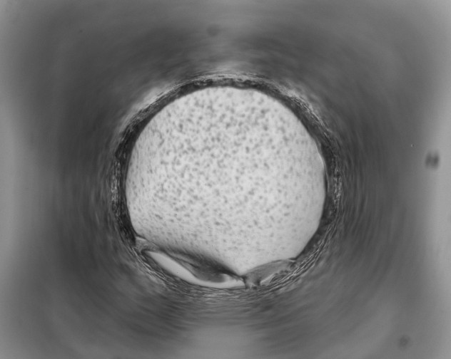 X0000097891159200804111010