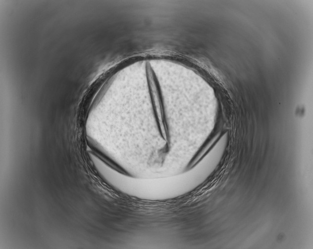 X0000097891160200804111010