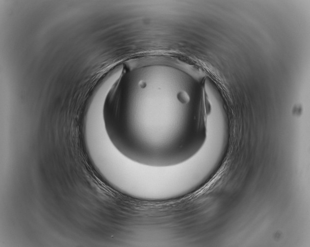 X0000097891161200804111010