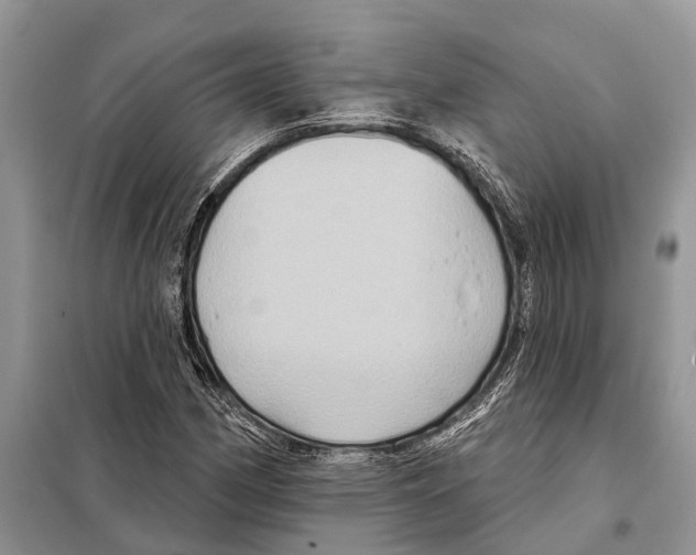 X0000097891162200804111010