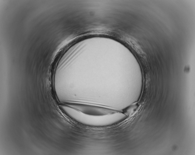 X0000097891164200804111010