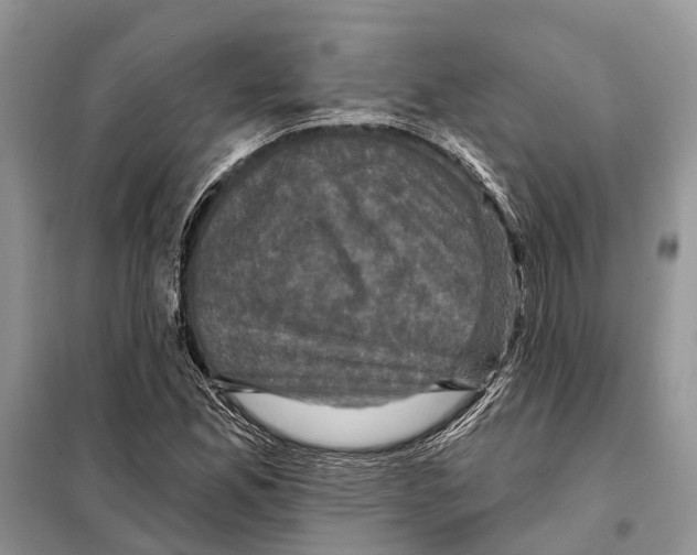 X0000097891165200804111010