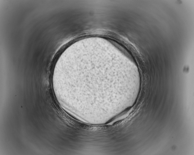 X0000097891166200804111010