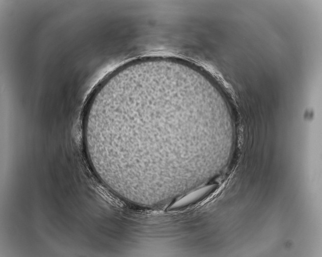 X0000097891167200804111010