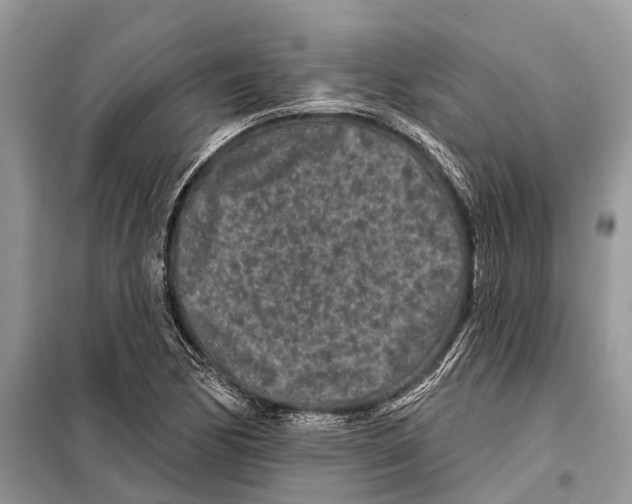 X0000097891170200804111010