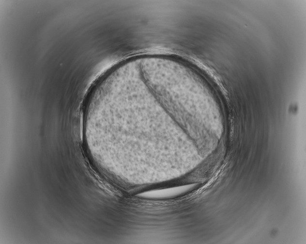 X0000097891171200804111010