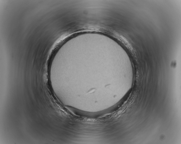 X0000097891172200804111010