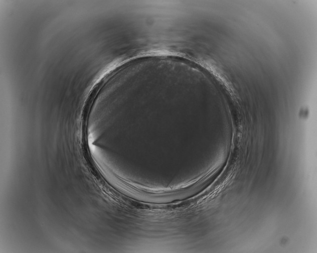 X0000097891173200804111010