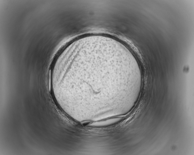 X0000097891175200804111010