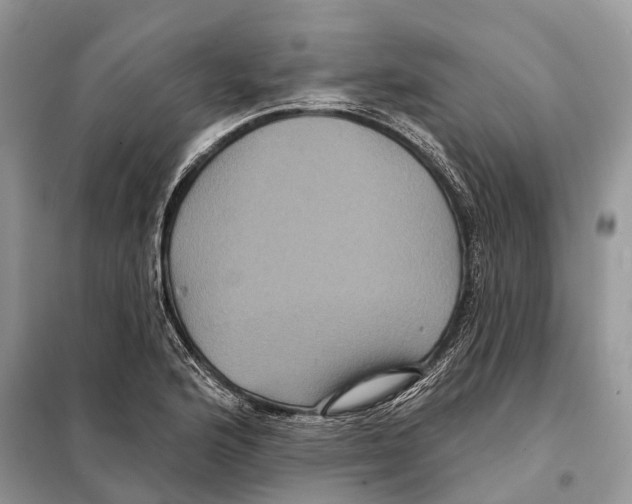 X0000097891176200804111010