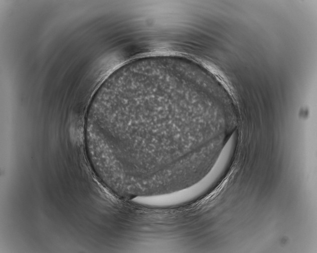 X0000097891177200804111010