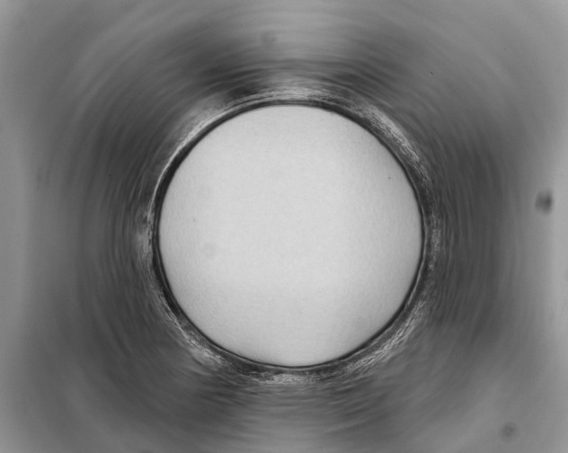 X0000097891178200804111010