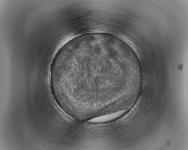 X0000097891179200804111010