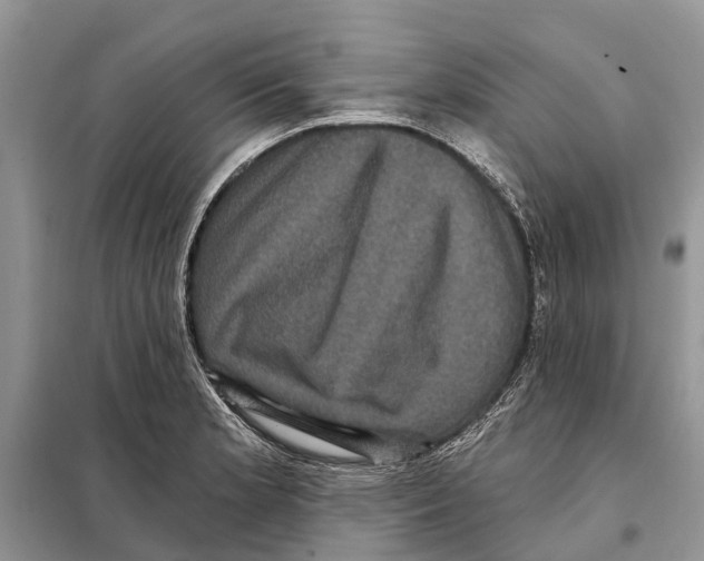 X0000097891181200804111010