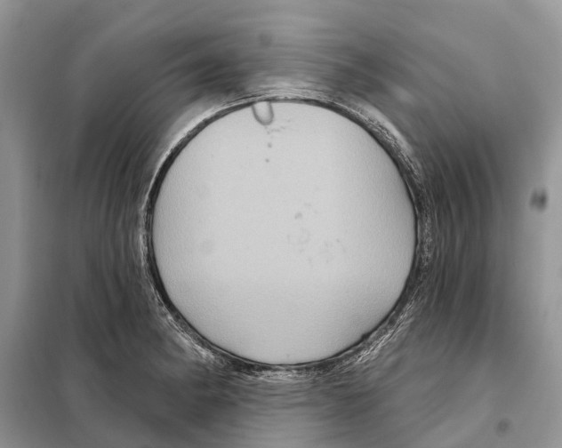 X0000097891182200804111010