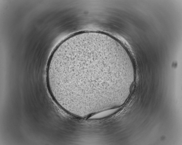 X0000097891183200804111010