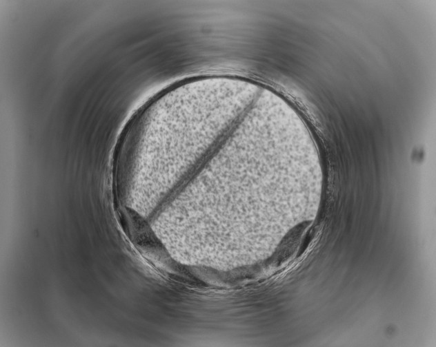 X0000097891184200804111010