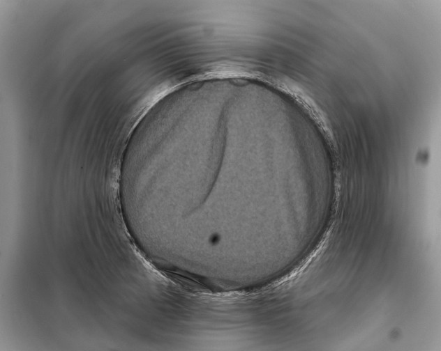 X0000097891185200804111010