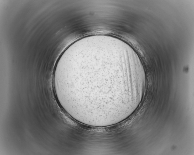 X0000097891186200804111010