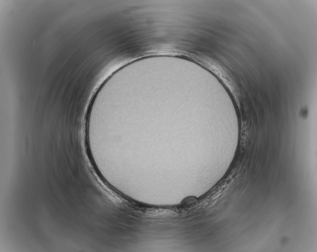 X0000097891187200804111010