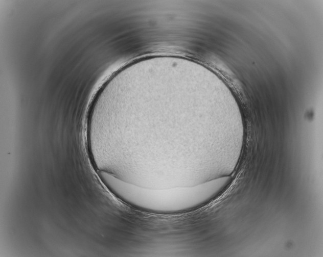 X0000097891188200804111010