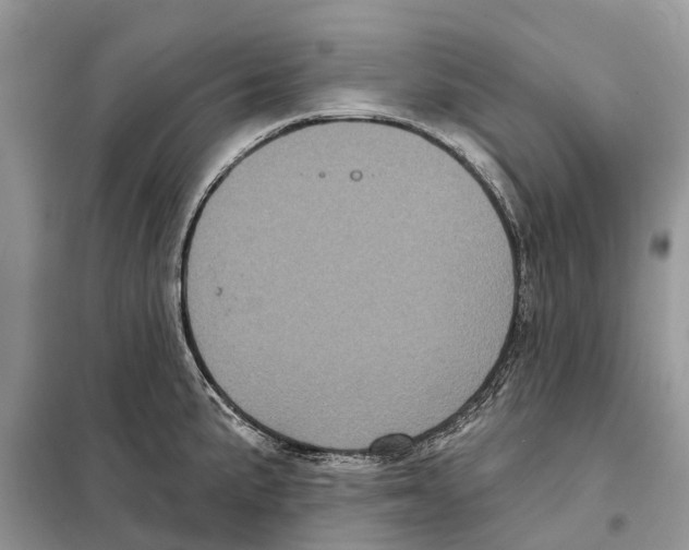 X0000097891191200804111010