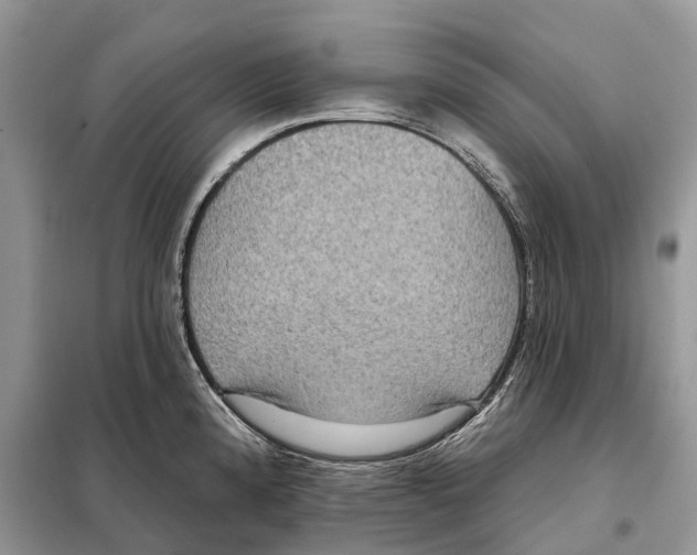 X0000097891192200804111010