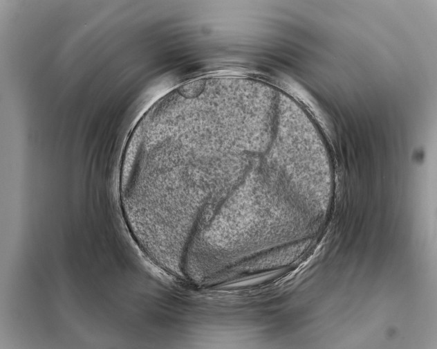 X0000097891194200804111010