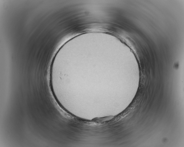 X0000097891195200804111010