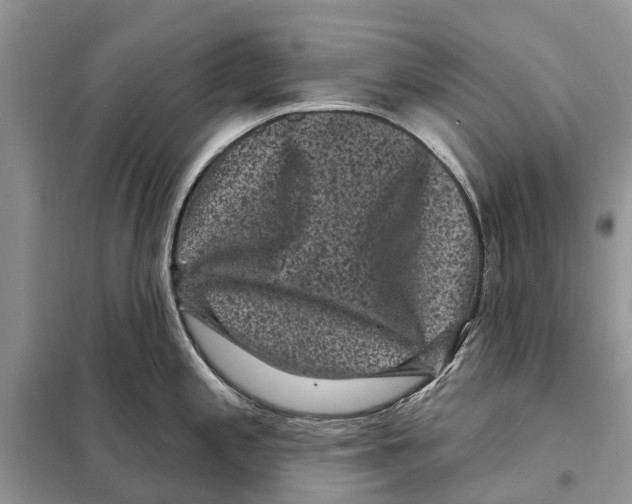 X0000097891197200804111010