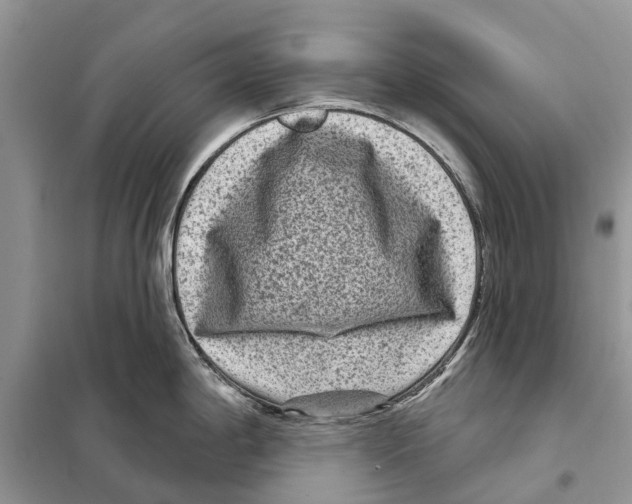 X0000097891198200804111010