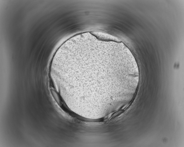 X0000097891200200804111010