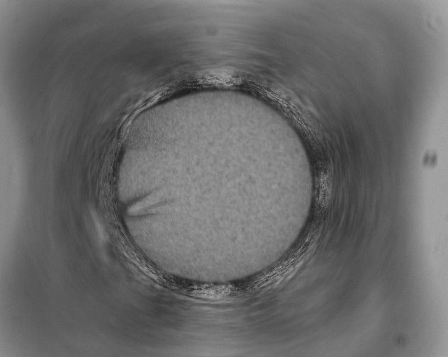 X0000097891201200804111009