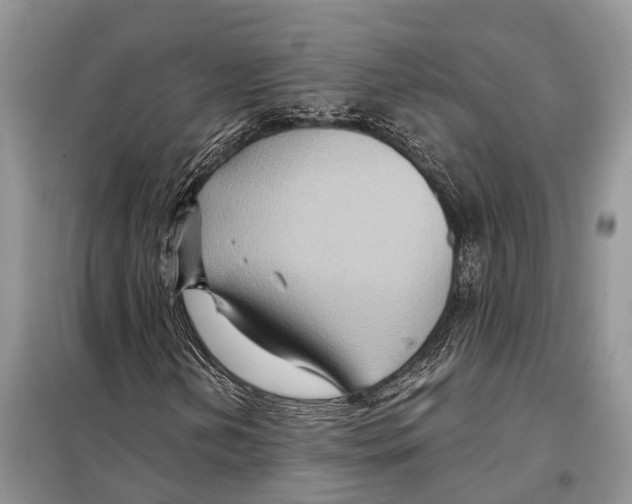 X0000097891202200804111009