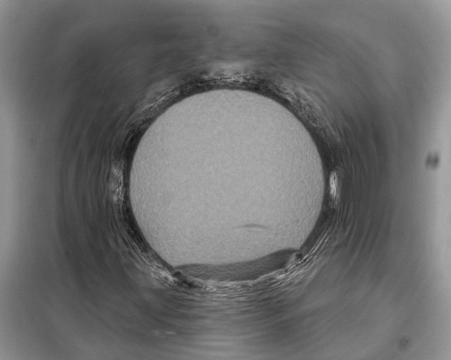 X0000097891203200804111009