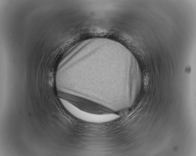 X0000097891204200804111009