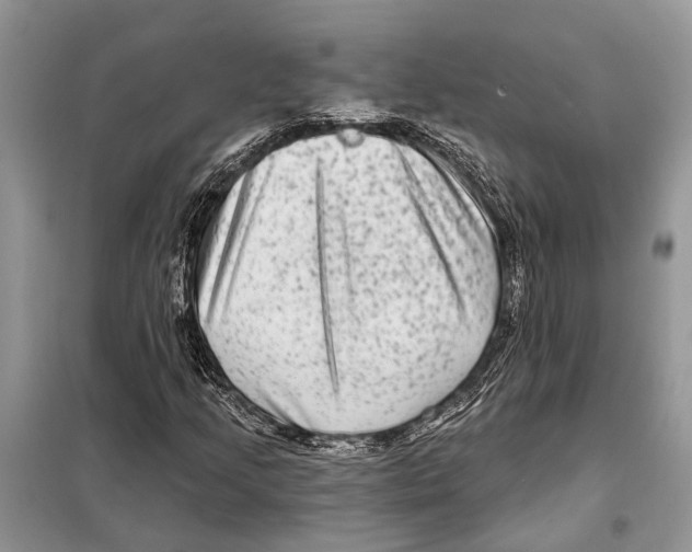 X0000097891205200804111009