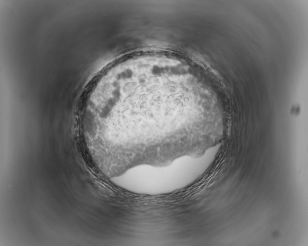 X0000097891208200804111009