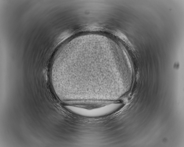 X0000097891209200804111009