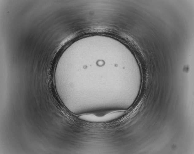 X0000097891210200804111009