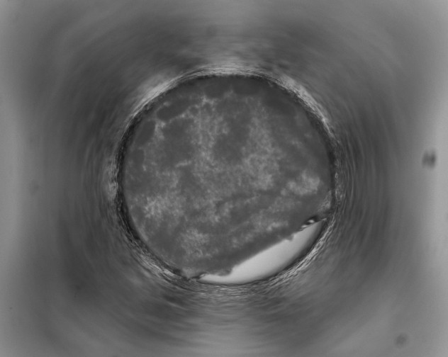 X0000097891213200804111009