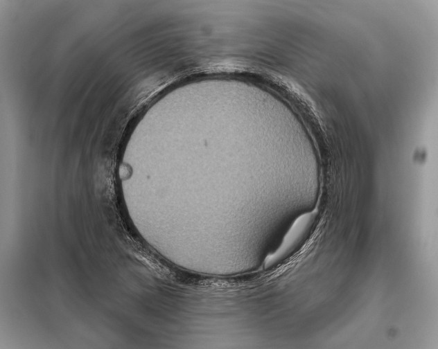 X0000097891217200804111009