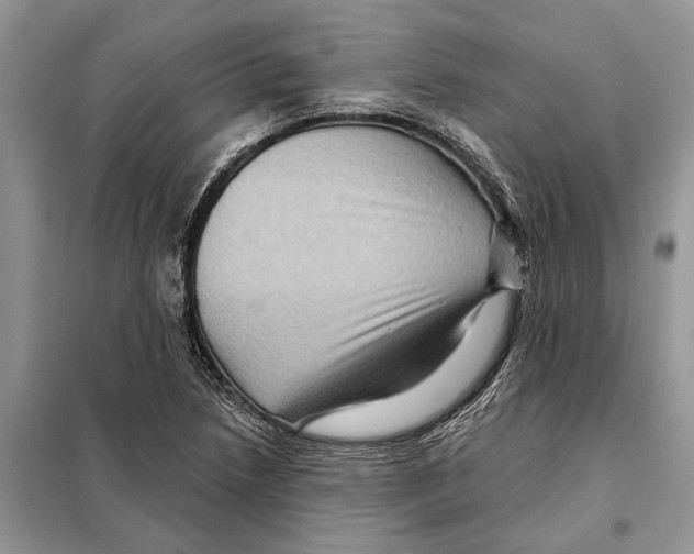 X0000097891218200804111009