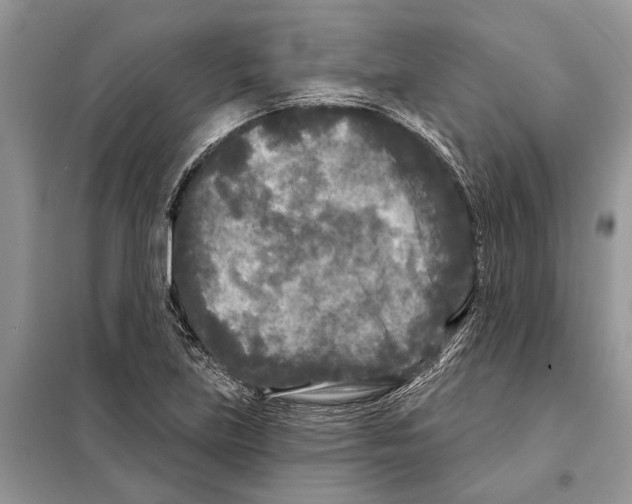 X0000097891219200804111009