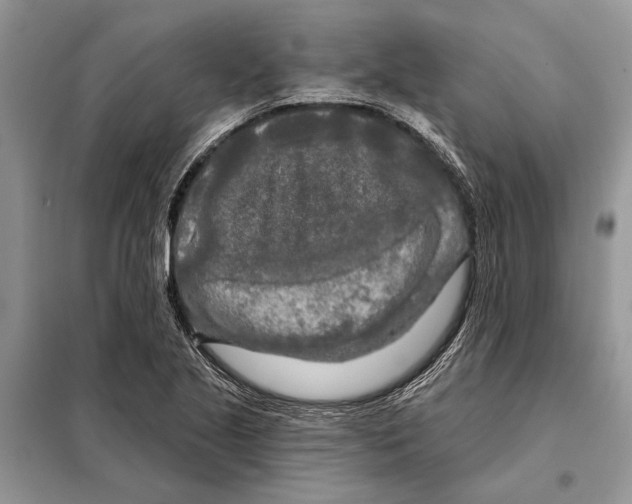 X0000097891221200804111009