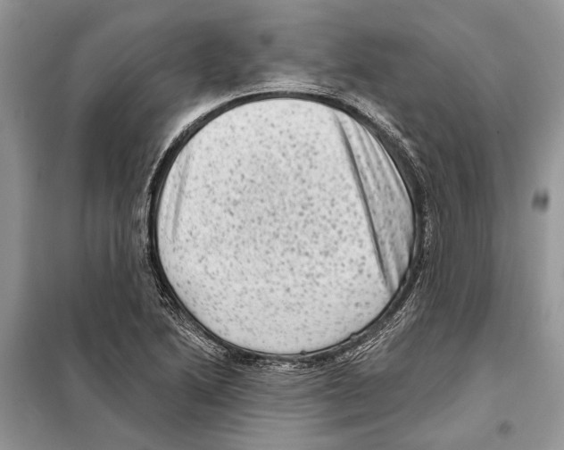 X0000097891222200804111009