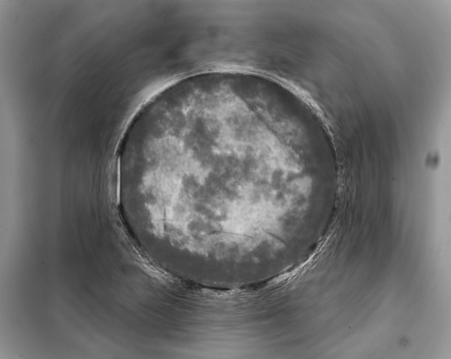 X0000097891223200804111009