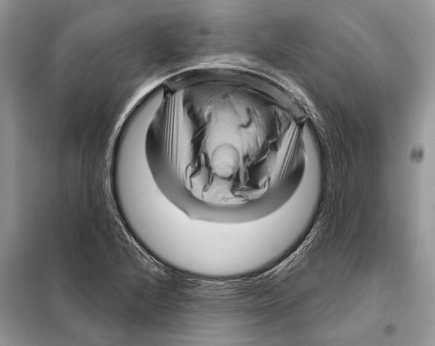 X0000097891224200804111009