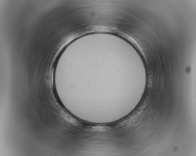 X0000097891227200804111009