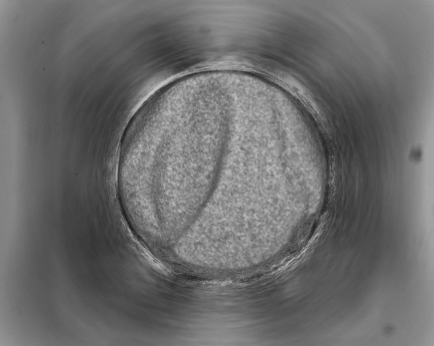 X0000097891228200804111009